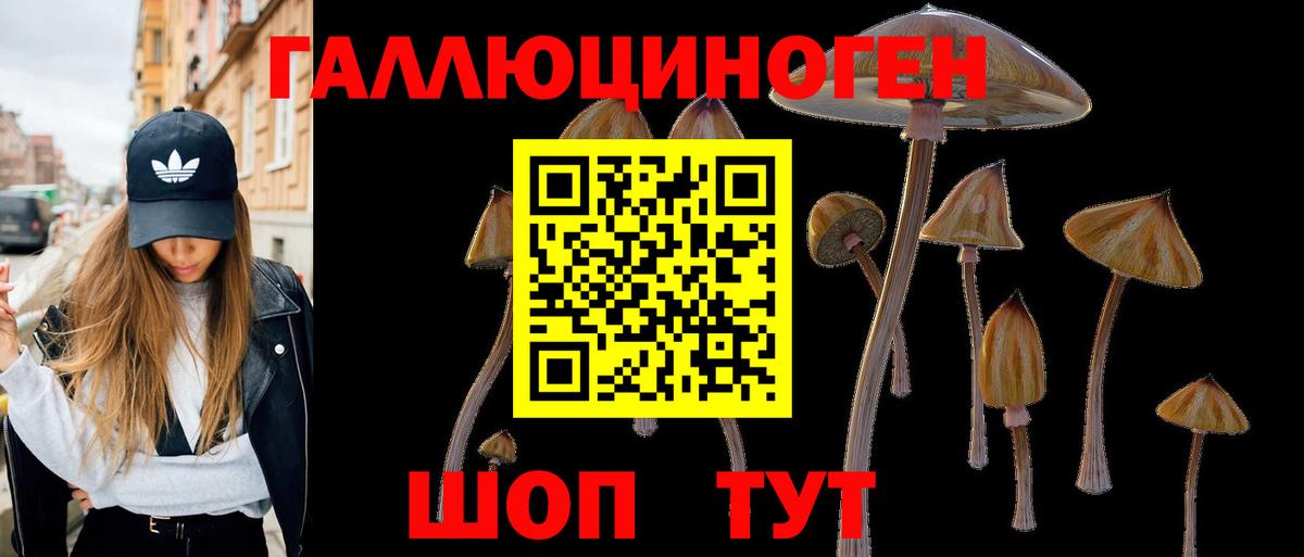 Кировск  Галлюциногенные грибы GOLDEN TEACHER  Вход с VPN 